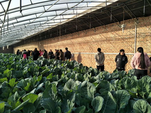 助推北京農(nóng)業(yè)信息化發(fā)展，奧科美獲北京市農(nóng)產(chǎn)品產(chǎn)銷信息協(xié)會表彰